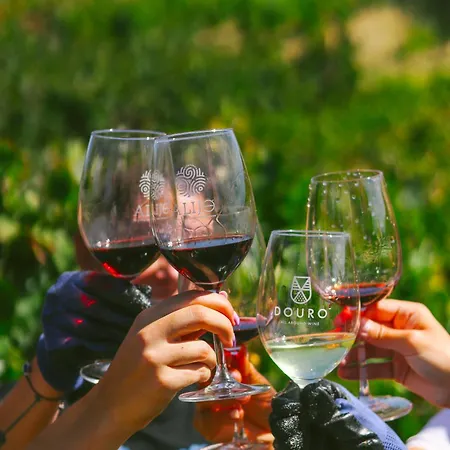 Casa D'arca Feriegård Alijó