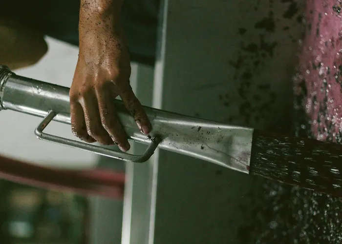 Farm stay Casa D'arca *