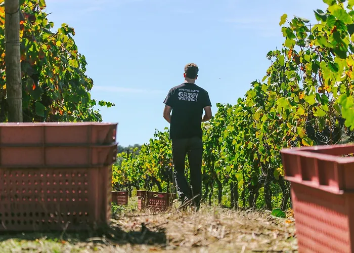 Farm stay Casa D'arca