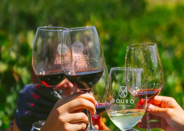 Casa D'arca Farm stay Alijo